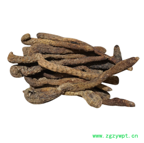 内蒙古阿拉善油苁蓉泡酒料泡茶肉苁蓉大芸整根油苁蓉20-30cm图2