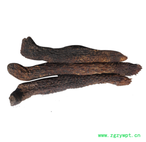 内蒙古阿拉善油苁蓉泡酒料泡茶肉苁蓉大芸整根油苁蓉20-30cm图3