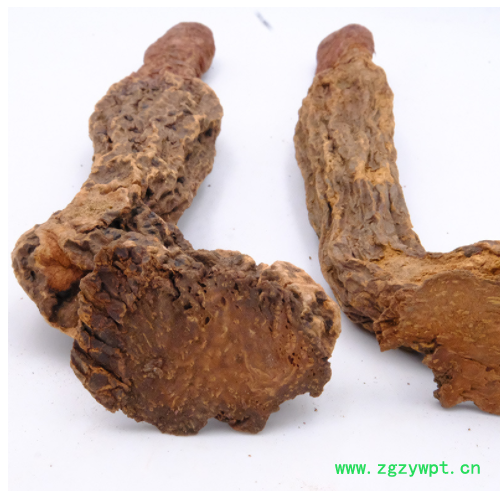 肉苁蓉锁阳礼盒装内蒙古阿拉善油苁蓉整根油苁蓉可切片新货批发图3