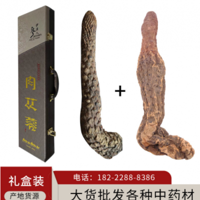 肉苁蓉锁阳礼盒装内蒙古阿拉善油苁蓉整根油苁蓉可切片新货批发