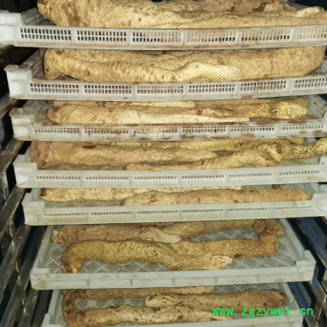 中药材批发肉苁蓉鲜个子 内蒙油肉苁蓉内蒙肉苁蓉 泡酒泡茶肉苁蓉图3