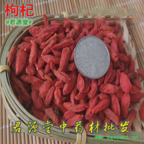 批发 枸杞子 枸杞 提供大货图3