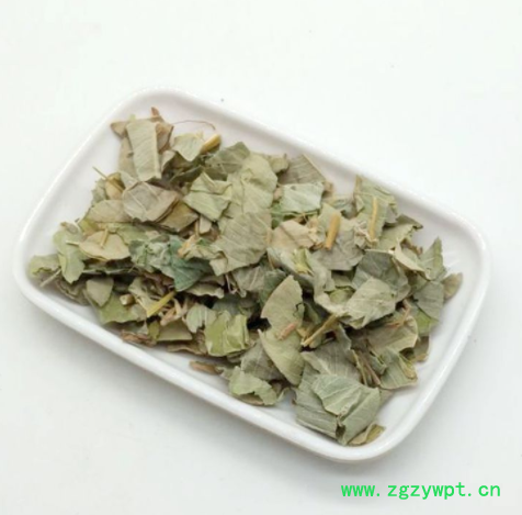 供应中药材大叶 金钱草 广西大叶金钱草图2