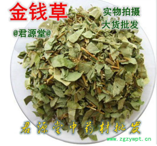 供应中药材大叶 金钱草 广西大叶金钱草图3