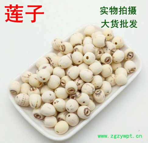 实体店专营批发2019新货 白莲子磨皮抽芯 君源堂