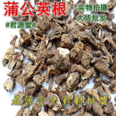 中药材 公英根 蒲公英根 婆婆丁根