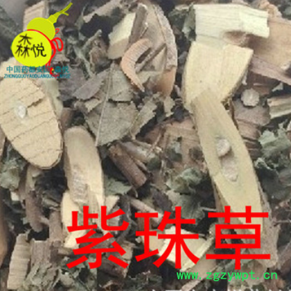 紫珠草 批发冷背中药材 大叶紫珠大风叶 白狗肠 药用 正品图3