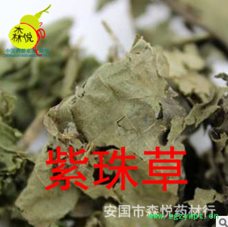 紫珠草 批发冷背中药材 大叶紫珠大风叶 白狗肠 药用 正品图2