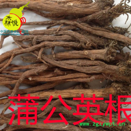 蒲公英根 批发冷背中药材 公英根 河北产 药用 正品 保含量图2