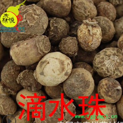 滴水珠 批发冷背药材一滴珠 一粒珠 独龙珠 蛇珠 易一面锣 白铃子图2