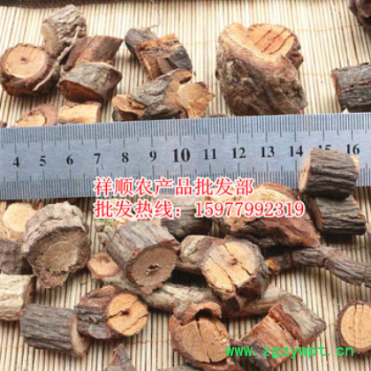 黑老虎根 冷饭团 过山风 钻地风 入地麝香 黑老虎批发各种规格图3