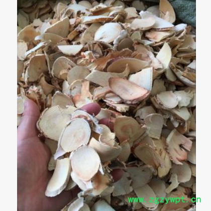 批发各种规格 五指牛奶 牛奶树根 五指毛桃 五爪龙 土黄芪图2