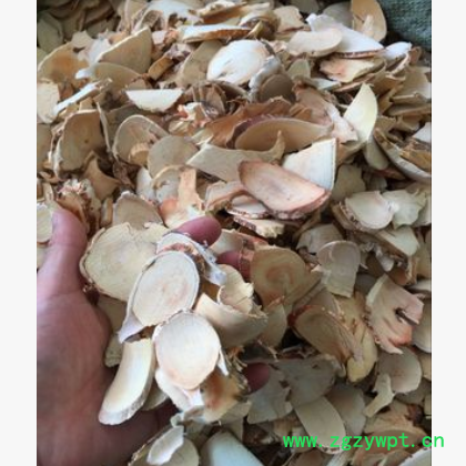 批发各种规格 五指牛奶 牛奶树根 五指毛桃 五爪龙 土黄芪