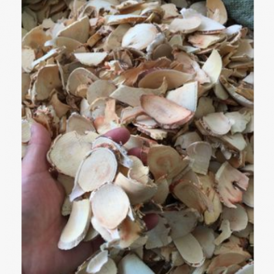 批发各种规格 五指牛奶 牛奶树根 五指毛桃 五爪龙 土黄芪