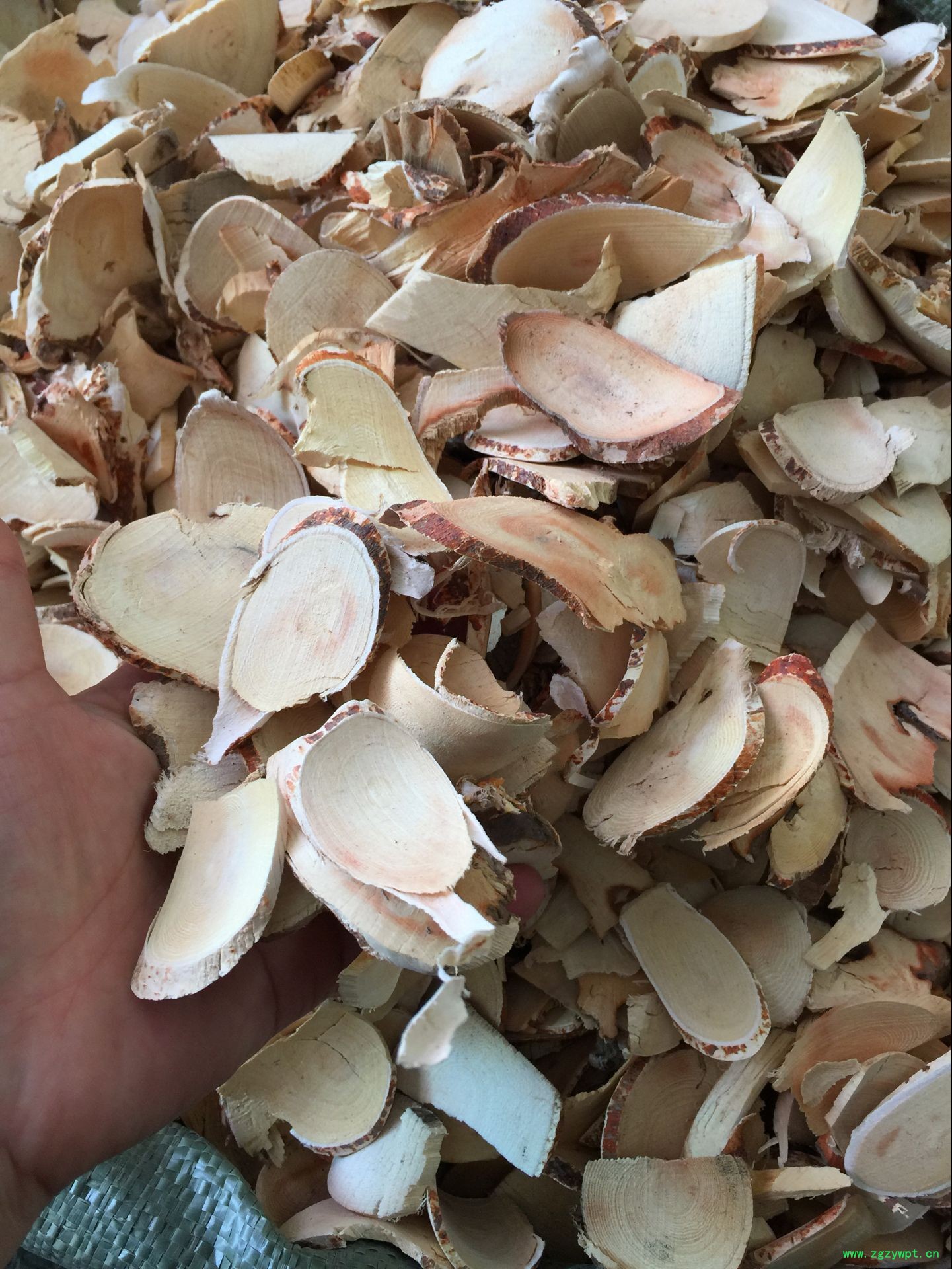 QQ图片20160623123723