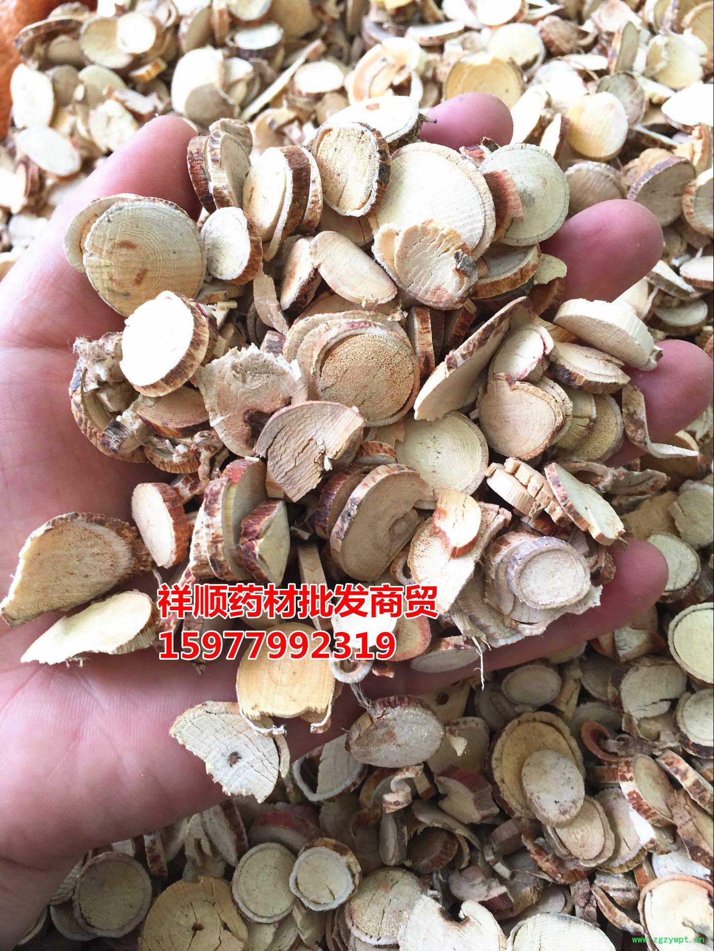 QQ图片20160623123717_副本