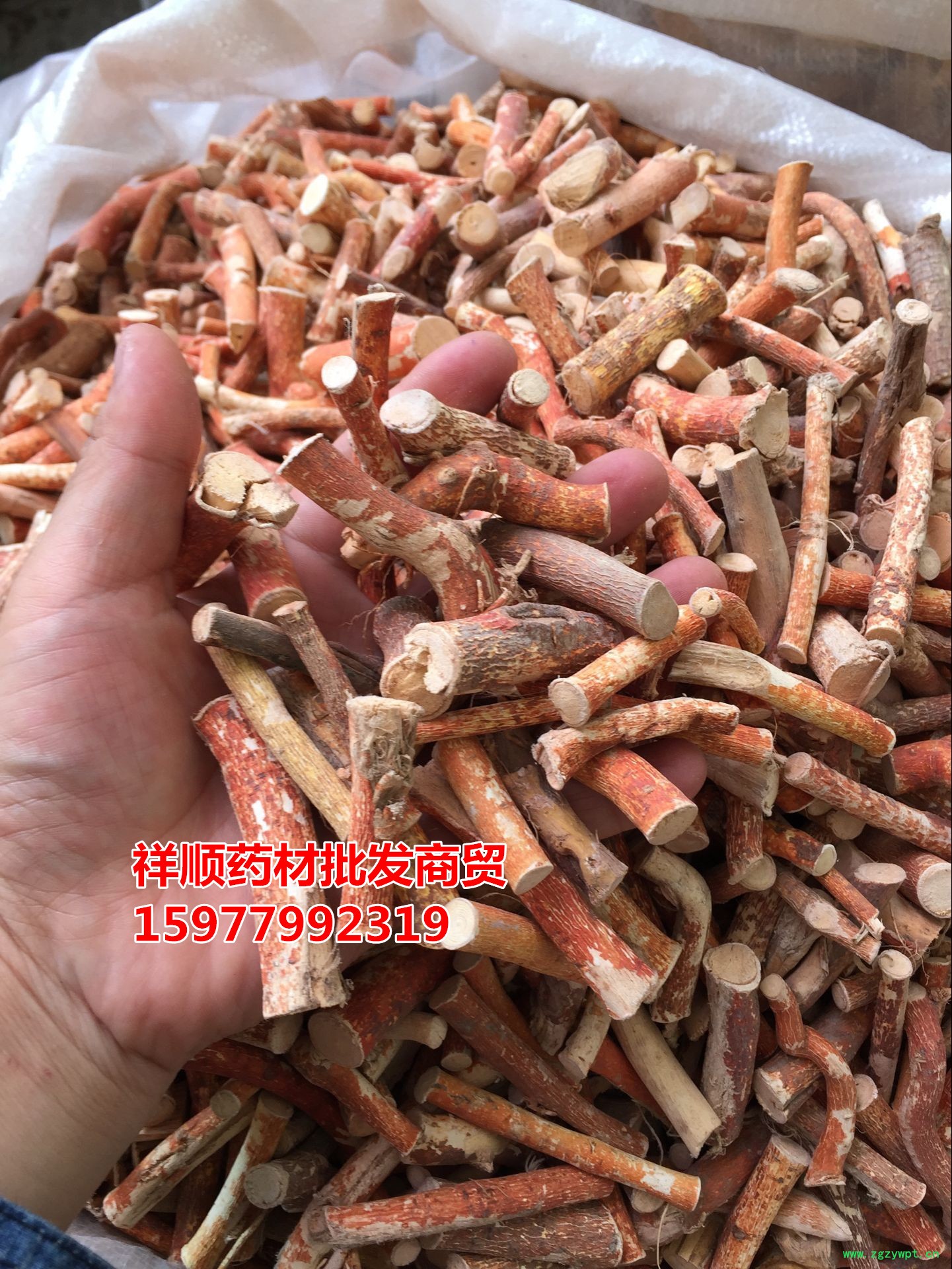 QQ图片20160623123703_副本