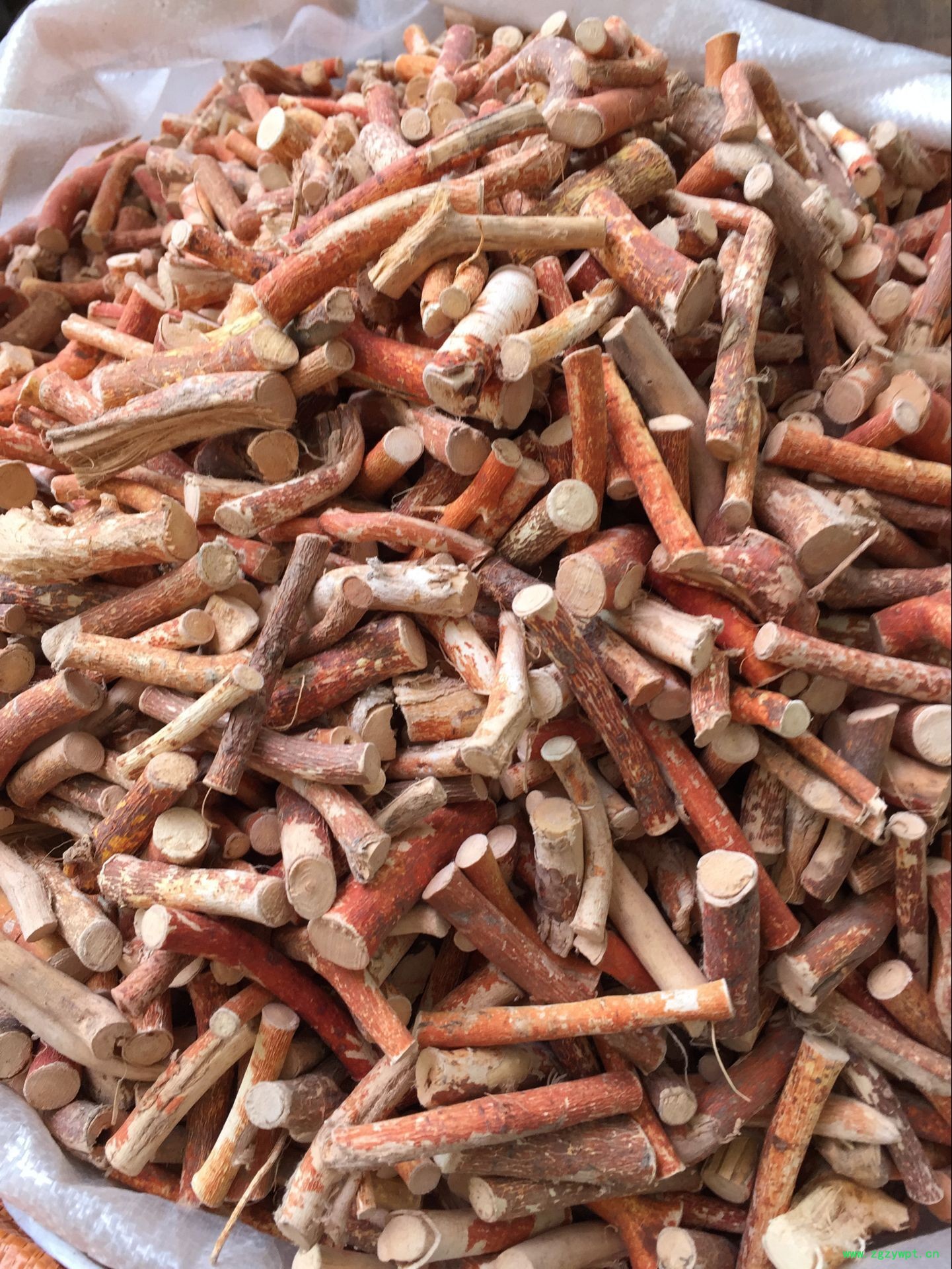 QQ图片20160623123655