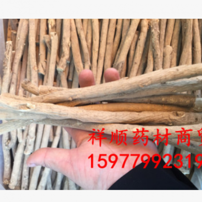 批发无硫 原色黄芪条 豆香黄芪条 黄芪条