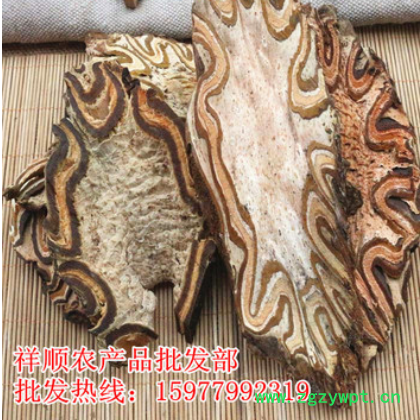 批发 飞天蠄蟧 大贯众 龙骨风 大量供应新货图2