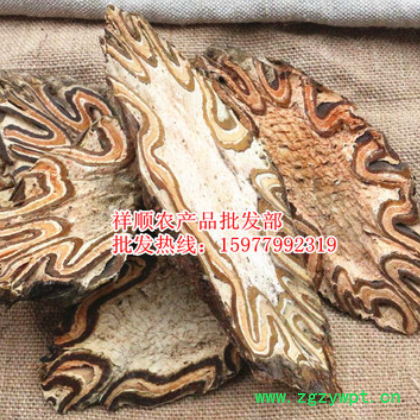 批发 飞天蠄蟧 大贯众 龙骨风 大量供应新货图3