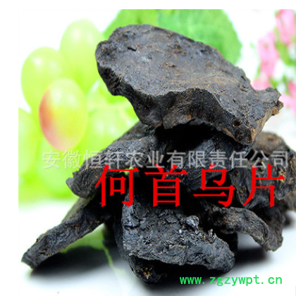 批发药材种苗 何首乌种苗 何首乌秧苗包回收 适应广 易管理图3