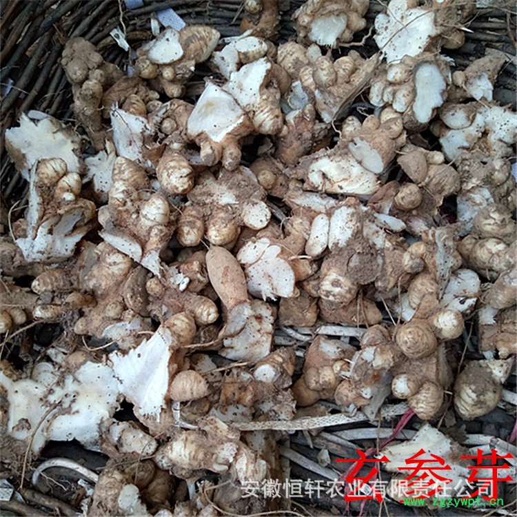 恒轩IMG_20160928_154251