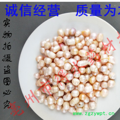 珍珠,中药材珍珠,保证质量。图2