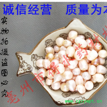 珍珠,中药材珍珠,保证质量。图3
