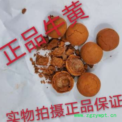 牛黄中药材 保真 纯正品天然牛黄 天然胆黄 牛黄纯天然 正品保证图2