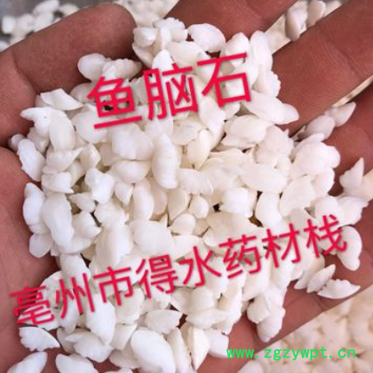 批发供应 鱼脑石 鱼首石 鱼枕骨 大货供应 量大从优