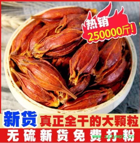 栀子山栀子中药材栀子批发栀子红栀子 福建栀子 江西栀子散装栀子图2