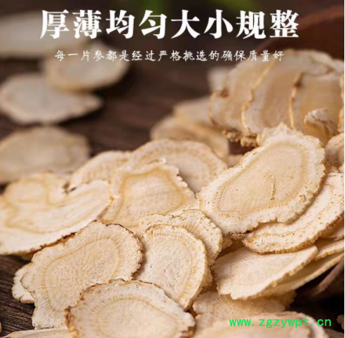 西洋参片花旗参加拿大西洋参产地货源切片早期教育早教玩具侦探图2