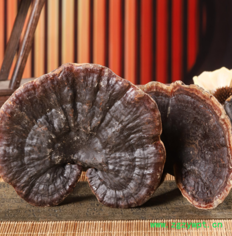 长白山深山灵芝 赤灵芝 灵芝片 赤灵芝片 竹芝 现货新货东北灵芝图3