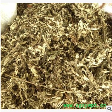 中药材艾叶 艾 艾叶 艾蒿 艾叶 小叶艾蒿 艾叶批发图3