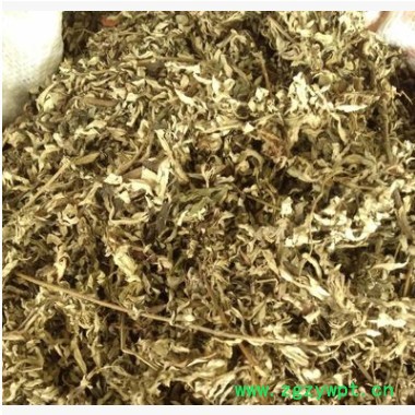 中药材艾叶 艾 艾叶 艾蒿 艾叶 小叶艾蒿 艾叶批发图2