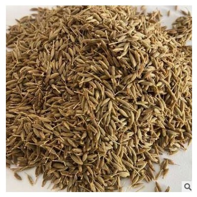 广西孜然粒 特香烧烤料调味料香料批发