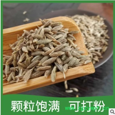 广西孜然粒 特香烧烤料调味料香料批发图3