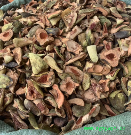 包邮 产地直销 中药材 王不留行 王不留行果干 批发供应图2