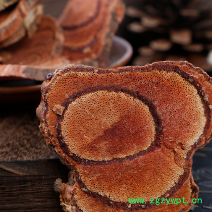 天宏鸡血藤片现货批发 血风藤无硫磺深红大血藤泡酒中药材煲汤料图2