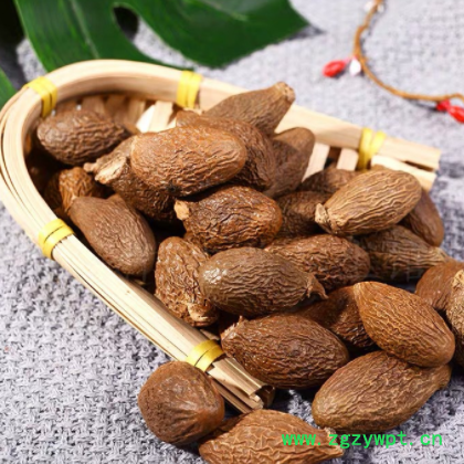 批发供应中药材新货胖大海长果大果 胖大海散装 花草茶量大从优图2