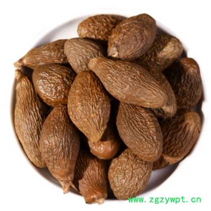 批发供应中药材新货胖大海长果大果 胖大海散装 花草茶量大从优图3