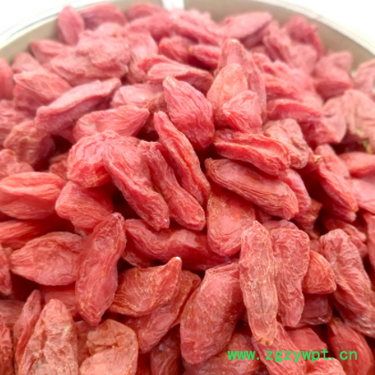 批发供应宁夏枸杞子 新货枸杞 大中小枸杞宁夏红枸杞子 量大从优