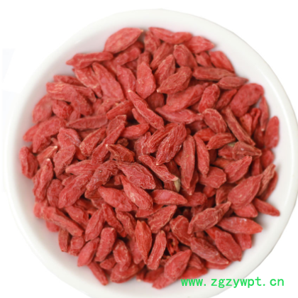 批发供应宁夏枸杞子 新货枸杞 大中小枸杞宁夏红枸杞子 量大从优图3