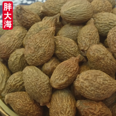 批发新货手选胖大海 圆果青果 花茶胖大海茶 新货大海 胖大海散装