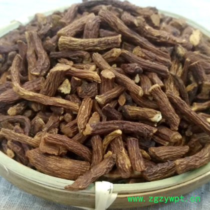 新货蒲公英茶 水洗蒲公英茶 选装花草茶婆婆丁 量大从优厂家批发图3