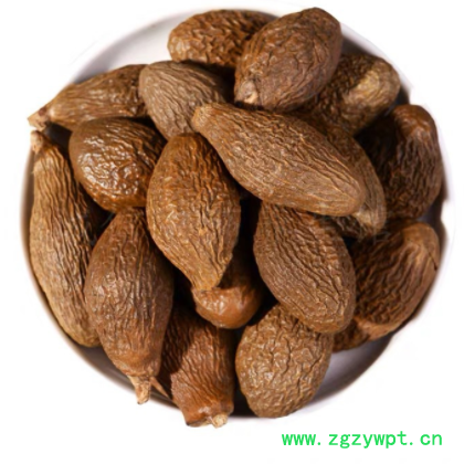 新货青果胖大海 花草茶胖大海茶 胖大海散装多规格批发 量大价优图2