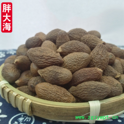 新货青果胖大海 花草茶胖大海茶 胖大海散装多规格批发 量大价优