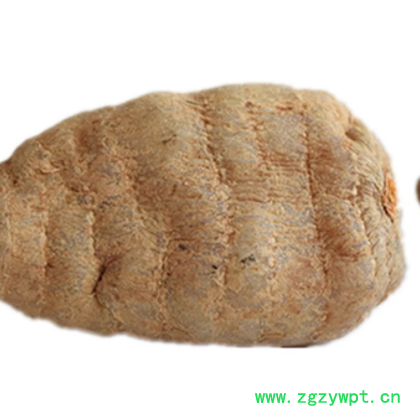 批发供应 云南昭通天麻 云南小草坝天麻 产地批发量大从优图3