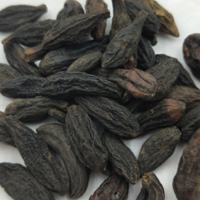 西青果 中药材批发藏青果 干青果 进口 西青果 包化验 药厂投料